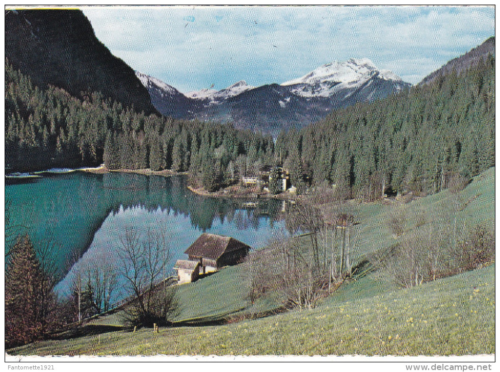 MORZINE  LE LAC DE MONTRIOND (dil257) - Morzine