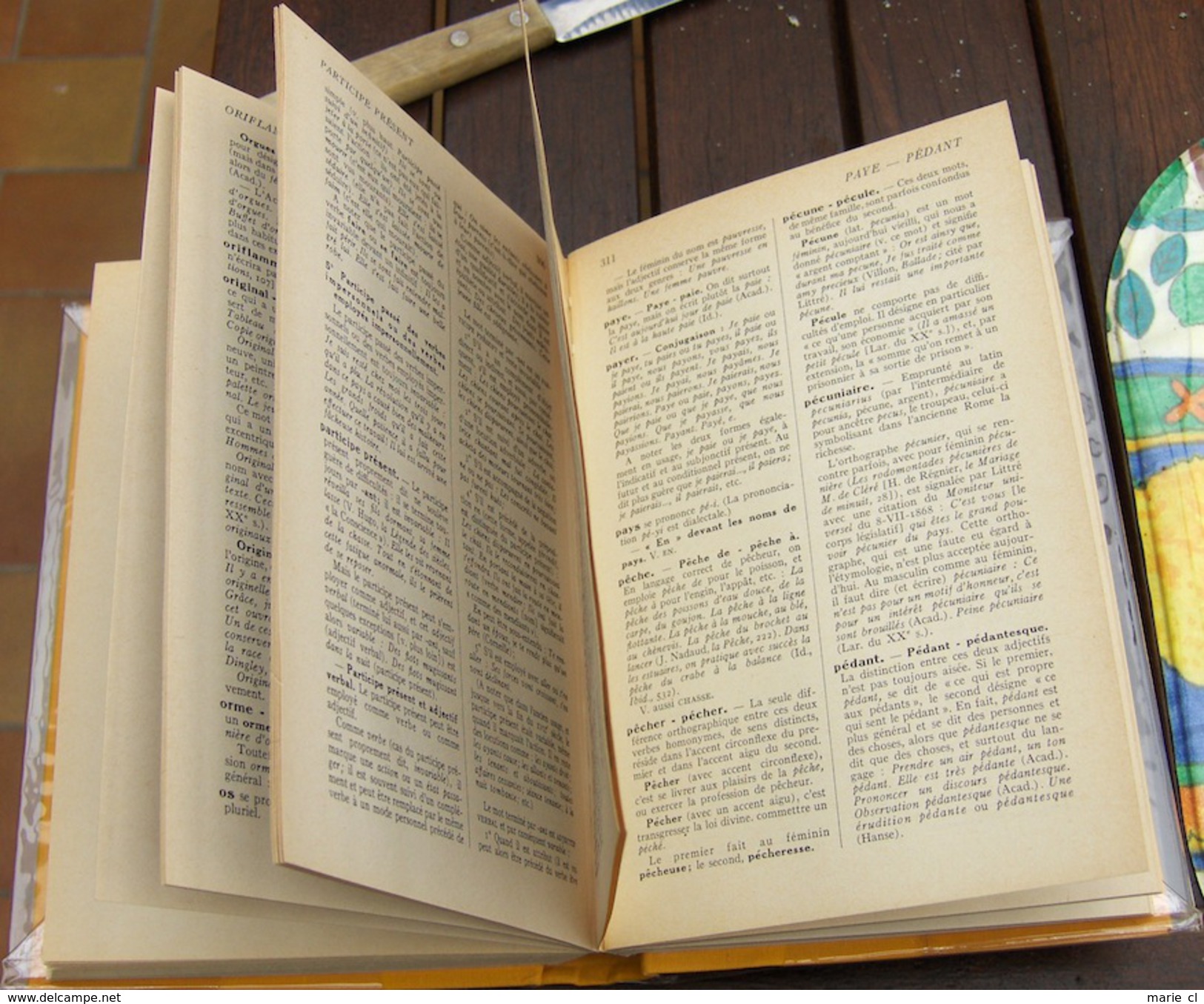 Dictionnaire Des Difficultés De La Langue Française - Wörterbücher