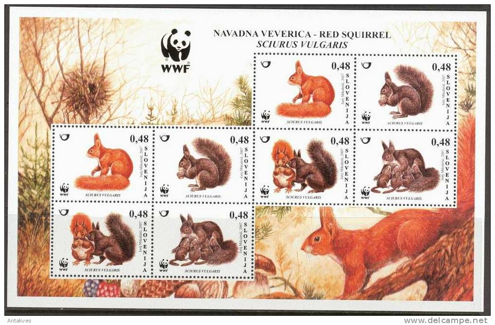 Slovenia 2007 Squirrels Sheet Of 8 MNH - Knaagdieren