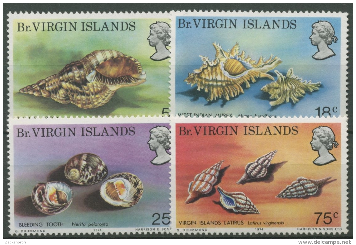 Britische Jungferninseln 1974 Meeresschnecken 274/77 Postfrisch - British Virgin Islands