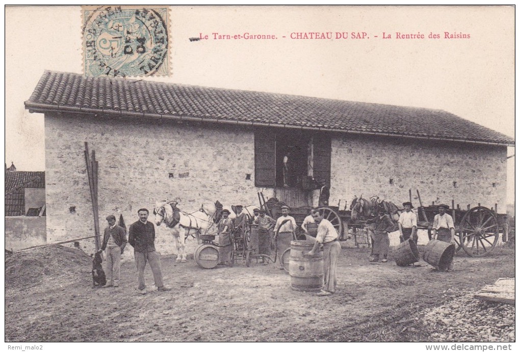 CARTE POSTALE CHATEAU DU SAP VIN VIGNE VIGNERON ALCOOL - Autres & Non Classés