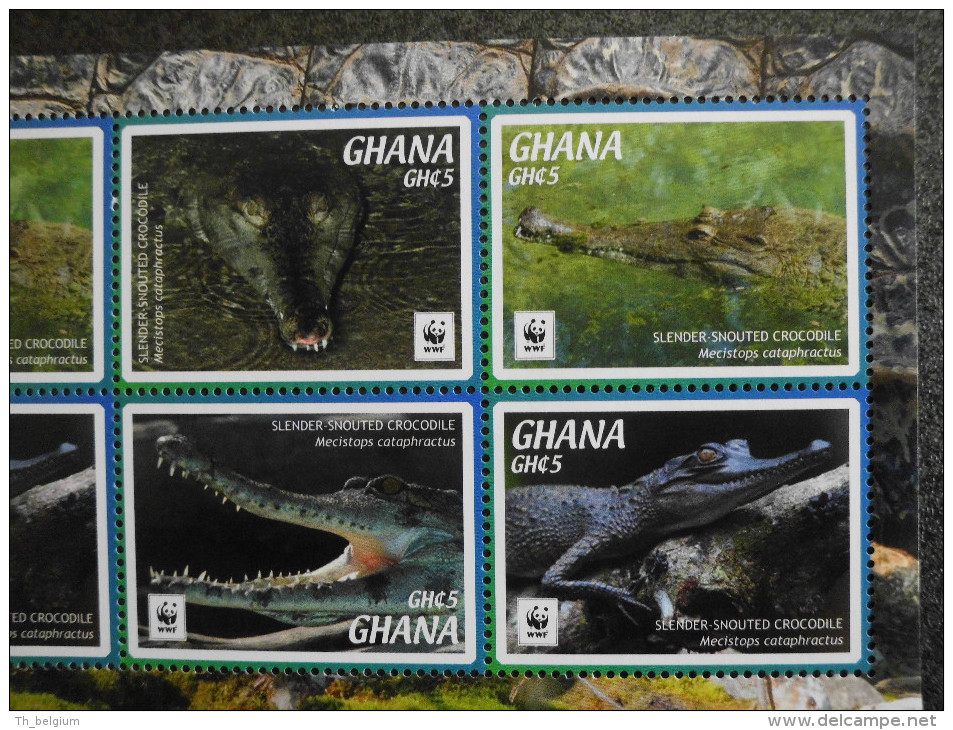 Ghana 2016 - WWF Slender-Snouted Crocodile - Complete Sheet 16 Stamps - Autres & Non Classés