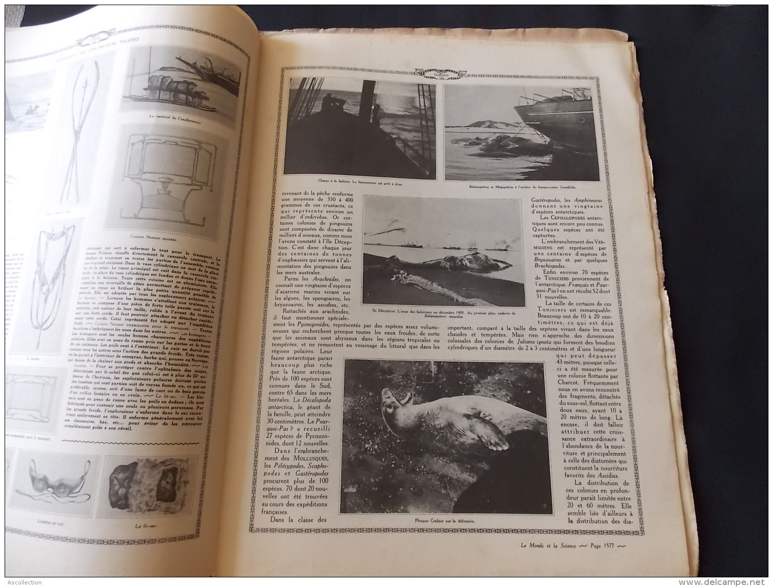 Le Monde Et La Science N50 Les Oceans Regions Australes Ile Petermann Phoques Cormorans Rookerie Pingouins Baleines - Encyclopédies