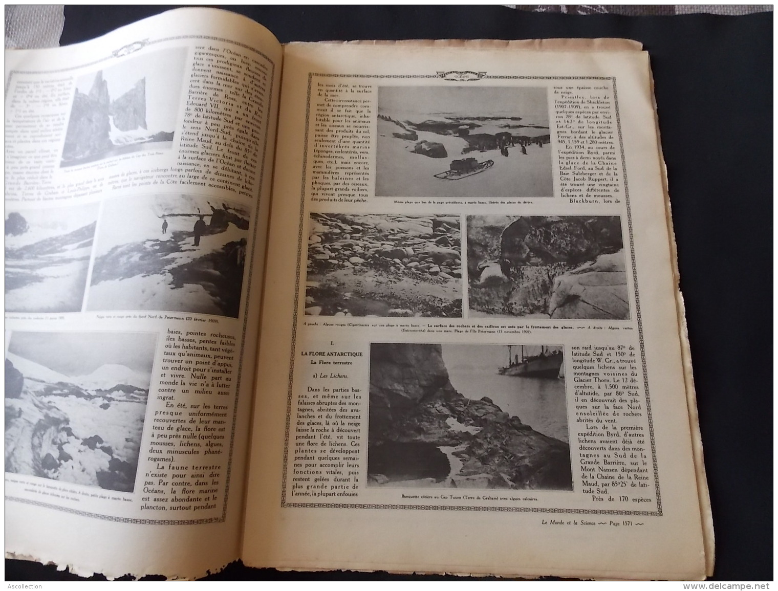 Le Monde Et La Science N50 Les Oceans Regions Australes Ile Petermann Phoques Cormorans Rookerie Pingouins Baleines - Encyclopédies