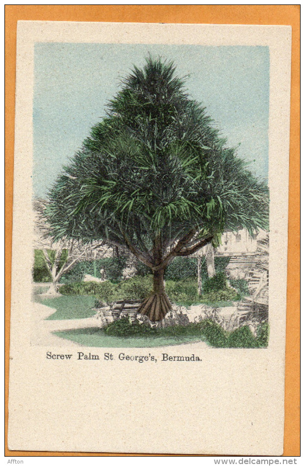 Bermuda St Georges 1905 Postcard - Bermudes