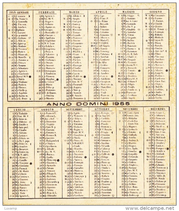 SEMINARIO VESCOVILE DI  FOSSANO - ANNO 1955   ( CART 103) - Formato Piccolo : 1941-60