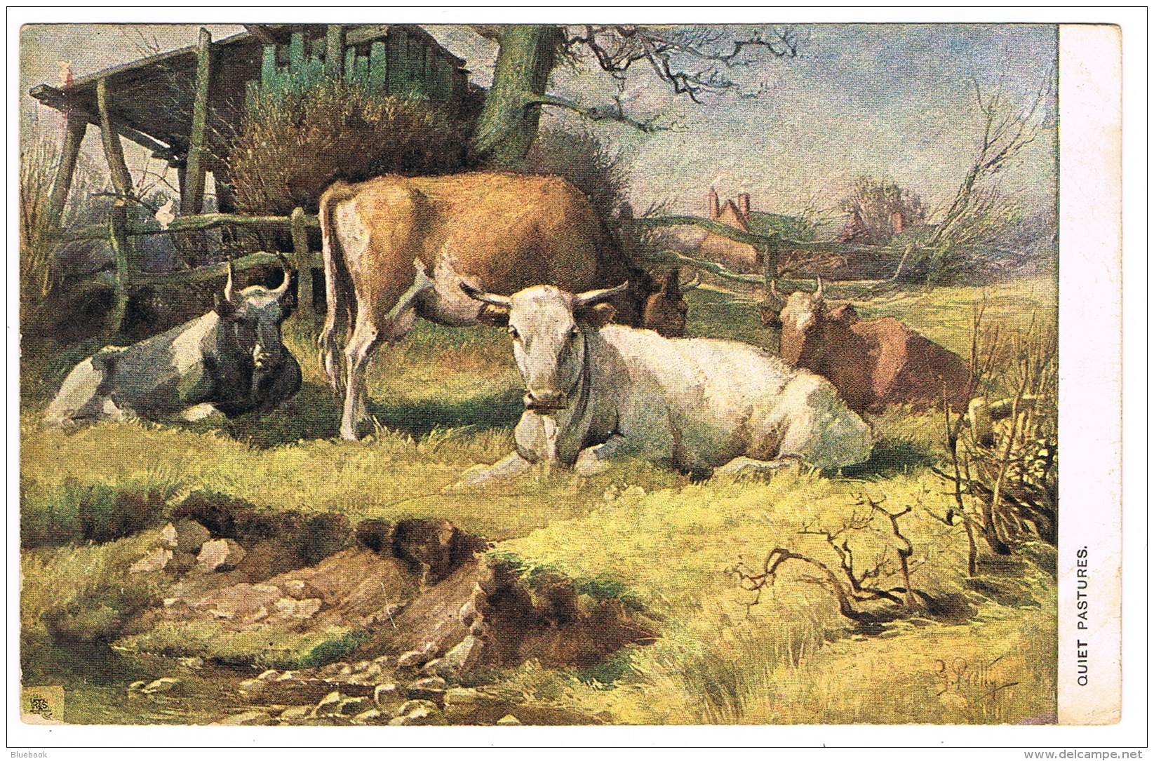 RB 1108 - Early 1900's Postcard - Cattle Cows - Animals Theme - 1d Rate Brisbane Australia - Covers & Documents