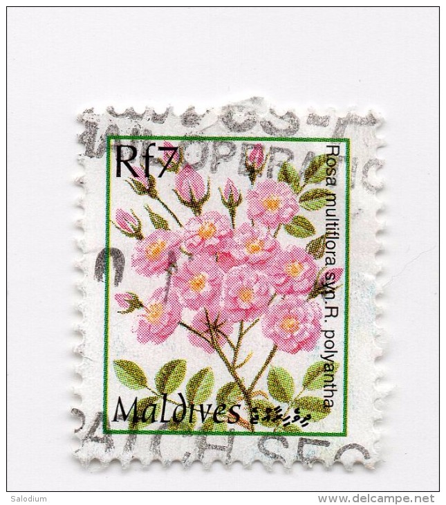 F01701 - Francobollo Stamp - Maldives Maldive - Fiore Flower - America (Other)