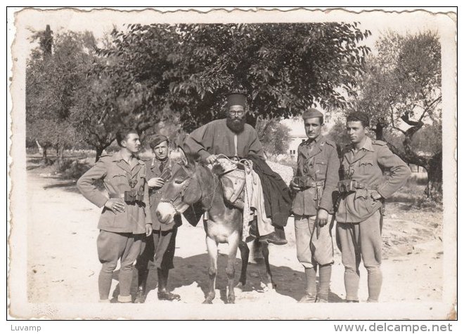 FOTOGRAFIA  MILITARI  - Formato     8,5 X 6  (10909) - Photo