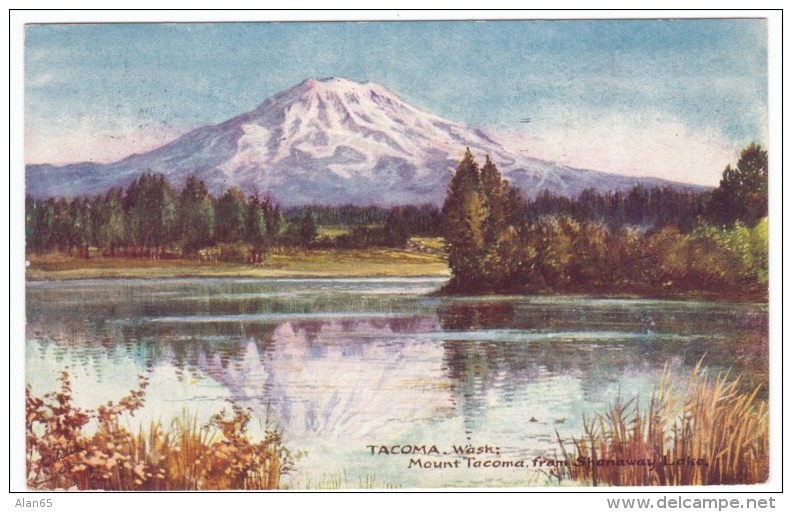 Tacoma Washington, Mount Tacoma (now Rainier) Tuck #2687, C1900s Vintage Postcard - Tacoma