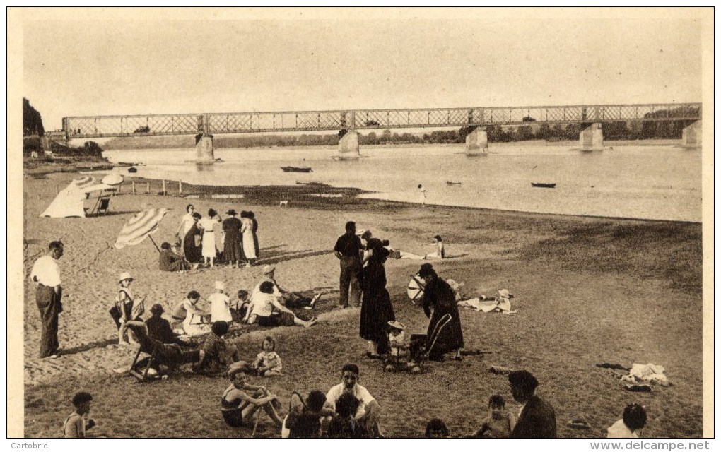 44 MAUVES Sur LOIRE La Plage Et L'Ancien Pont  Animée - Mauves-sur-Loire