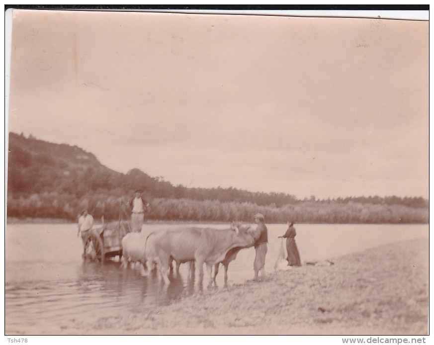 MINI PHOTO---47---MONTESQUIEU  ?--Scène Champêtre---au Bord De La Garonne---voir 2 Sans - Autres & Non Classés