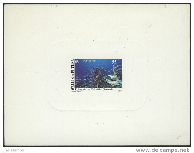 Yvert 272, 1981 55f. Marine Fauna And Flora, DELUXE PROOFS, Excellent Quality! - Andere & Zonder Classificatie