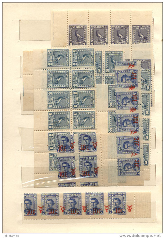 Small Stockbook With Large Number Of Stamps (more Than 200) With VARIETIES, For Example: Shifted Perforations,... - Uruguay