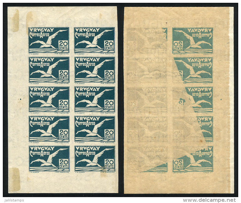 Yvert 12, 1926 Albatross 20c. Green, Block Of 10, 7 With OFFSET Impression On Back, VF Quality - Uruguay