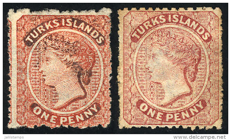 Sc.4/5, 1873/9 1p. In The 2 Colors, Mint No Gum, Fine To VF Quality, Catalog Value US$120. - Turks And Caicos