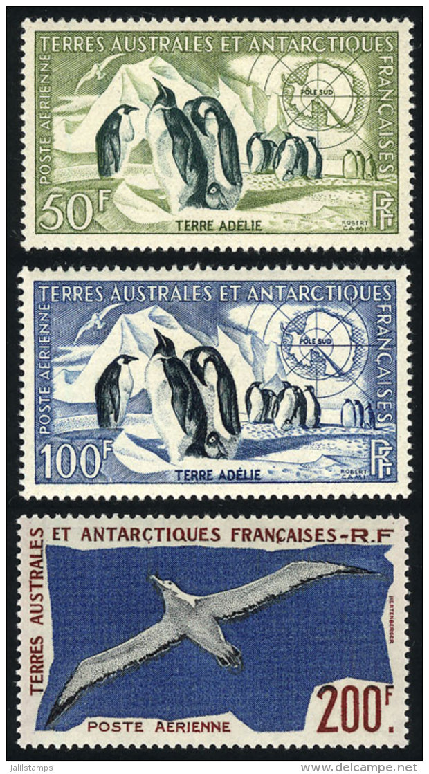 Sc.C1/C3, 1956 Penguins And 1959 Albatross, 3 Values MNH, Excellent Quality, Catalog Value US$117. - Poste Aérienne