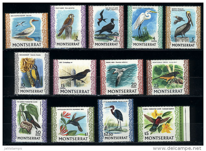 Sc.231/243, 1970 Birds, Complete Set Of 13 Values (without 243A Issued In 1974), MNH, VF Quality! - Montserrat