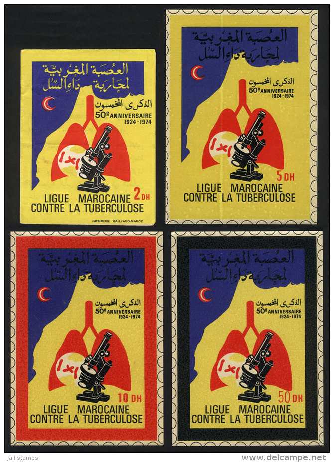 FIGHT AGAINST TUBERCULOSIS: 1974 Issue, Complete Booklet + 3 Window Labels Of Different Values, VF Quality! - Maroc (1956-...)