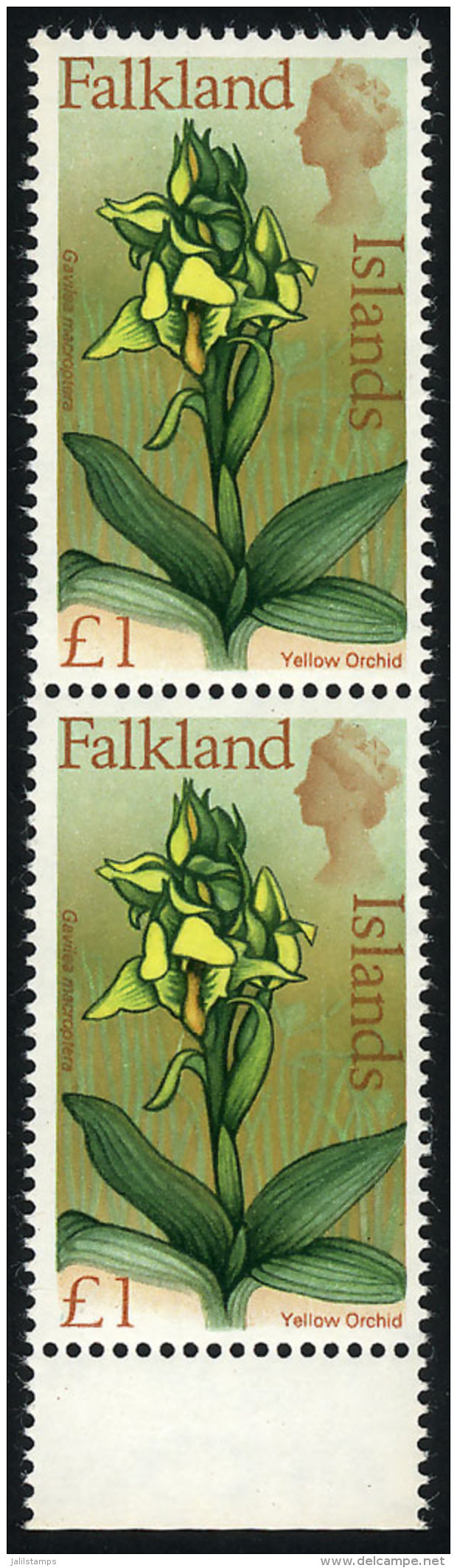 Sc.179, 1968 Flowers 1&pound;, High Value Of The Set, MNH Pair Of VF Quality, Catalog Value US$23. - Falklandeilanden