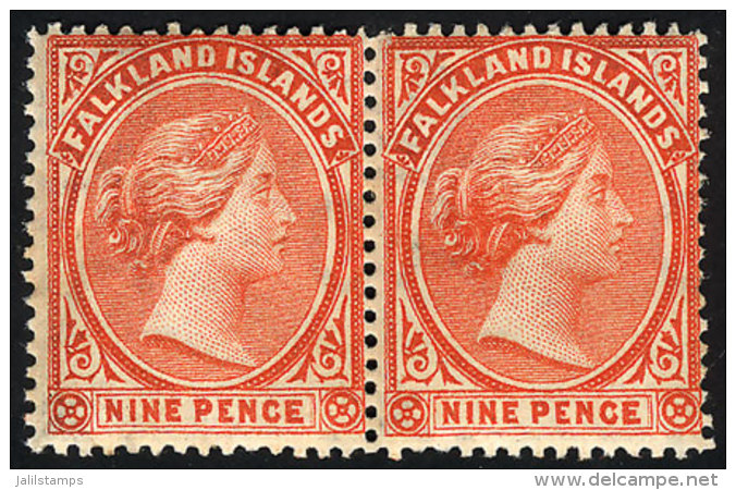 Sc.17, Pair Mint Original Gum, The Right Stamp Is MNH, VF Quality, Catalog Value US$110+ - Falklandinseln