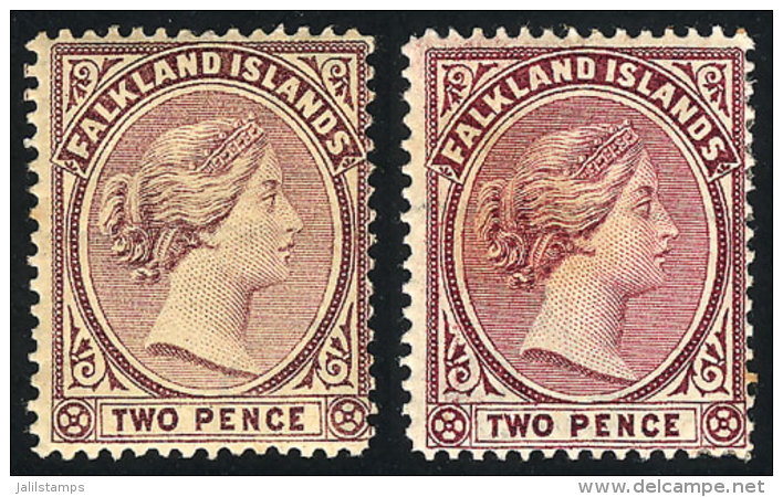 Sc.13, 1891/1902 2p., 2 Examples In Magenta (without Gum) And Dull Magenta (original Gum), Very Nice! - Falklandeilanden