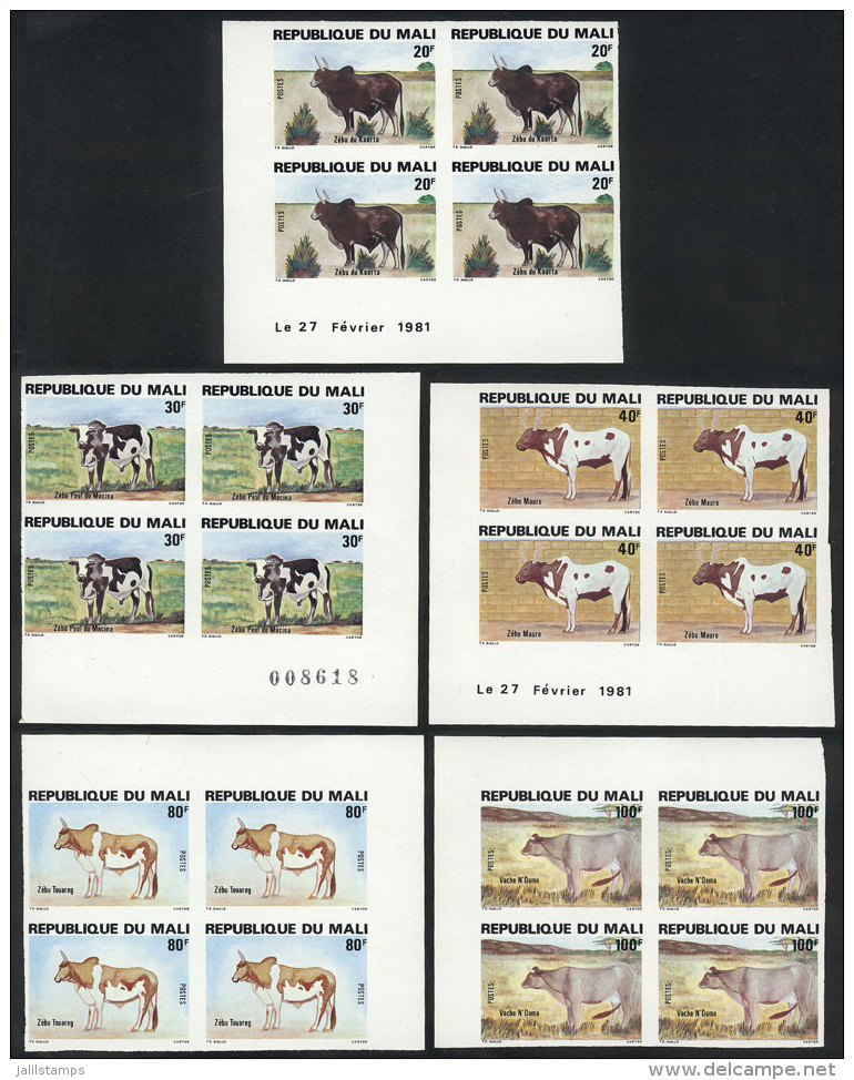 Yv.417/421, 1981 Fauna (bovine), Complete Set Of 5 Values, IMPERFORATE BLOCKS OF 4, VF Quality! - Mali (1959-...)