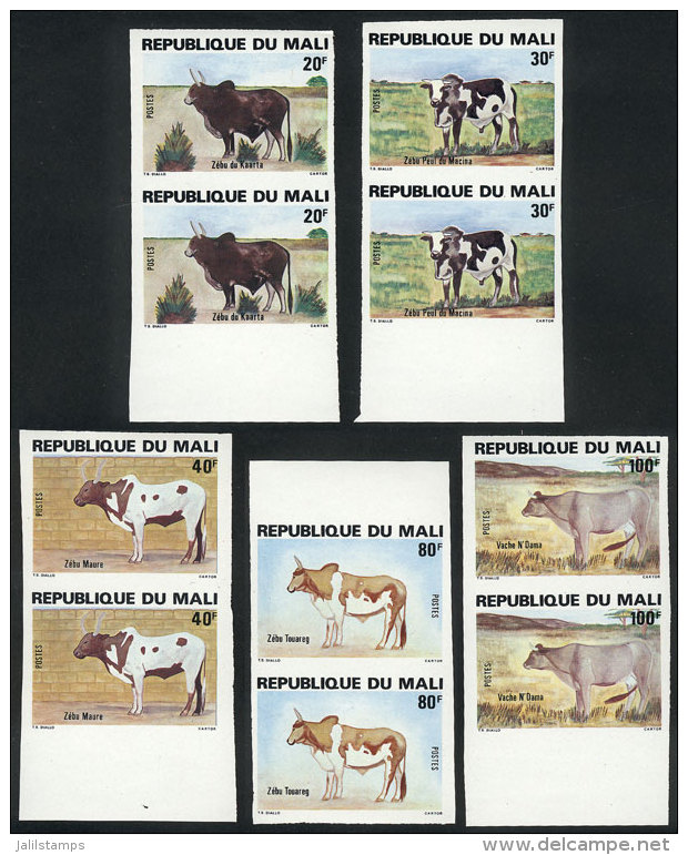 Yv.417/421, 1981 Fauna (bovine), Complete Set Of 5 Values, IMPERFORATE PAIRS, VF Quality! - Mali (1959-...)