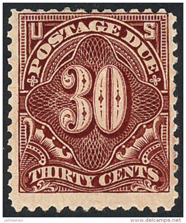 Sc.J36, 1894/5 30c. Dark Carmine, Unwatermarked, Perf 12, Very Nice, Catalog Value US$550. - Taxe Sur Le Port