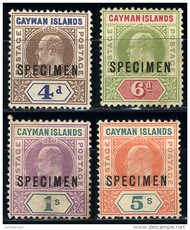 Sc.13/16, 1907 Complete Set Of 4 Values With SPECIMEN Ovpt., Mint No Gum, VF Quality (the 1S. With Small Defect),... - Kaimaninseln