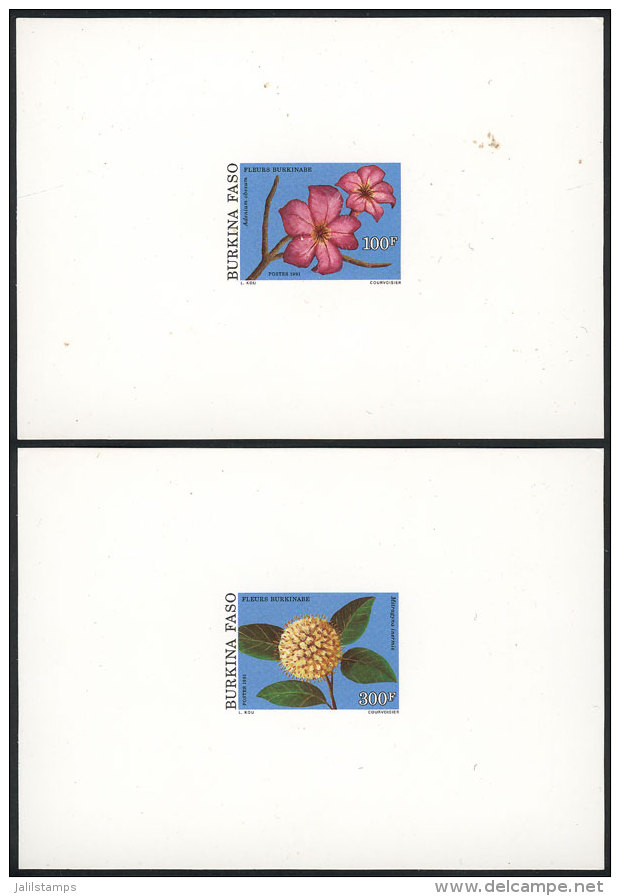 Yvert 841/2, 1991 Flowers, 2 Values Of The Set, DELUXE PROOFS, Very Nice! - Burkina Faso (1984-...)