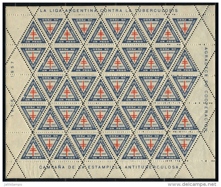 Argentine League Against Tuberculosis, 1956/7 Campaign, Complete Sheet Of 50 Cinderellas Of 1P., VF Quality! - Autres & Non Classés