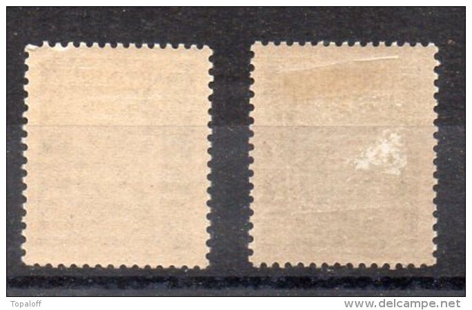 Martinique Taxe N°27 Et 28 Neufs Charniere - Timbres-taxe