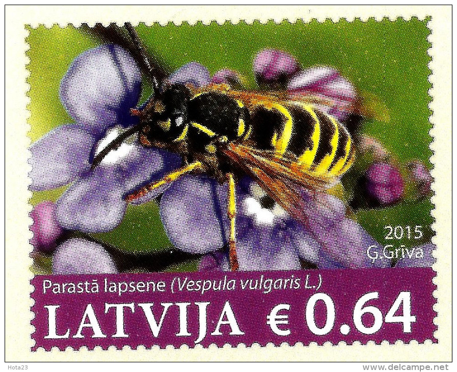 Latvia Lettland - England - UK2015 Postcard - Flowers And - Wasp -  Insect- Honey Eater MNH - Bienen