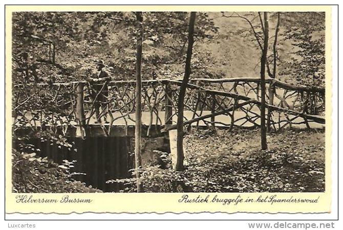 HILVERSUM BUSSUM. RUSTICK BRUGGETJE IN HET SPANDERSWOUD. - Hilversum