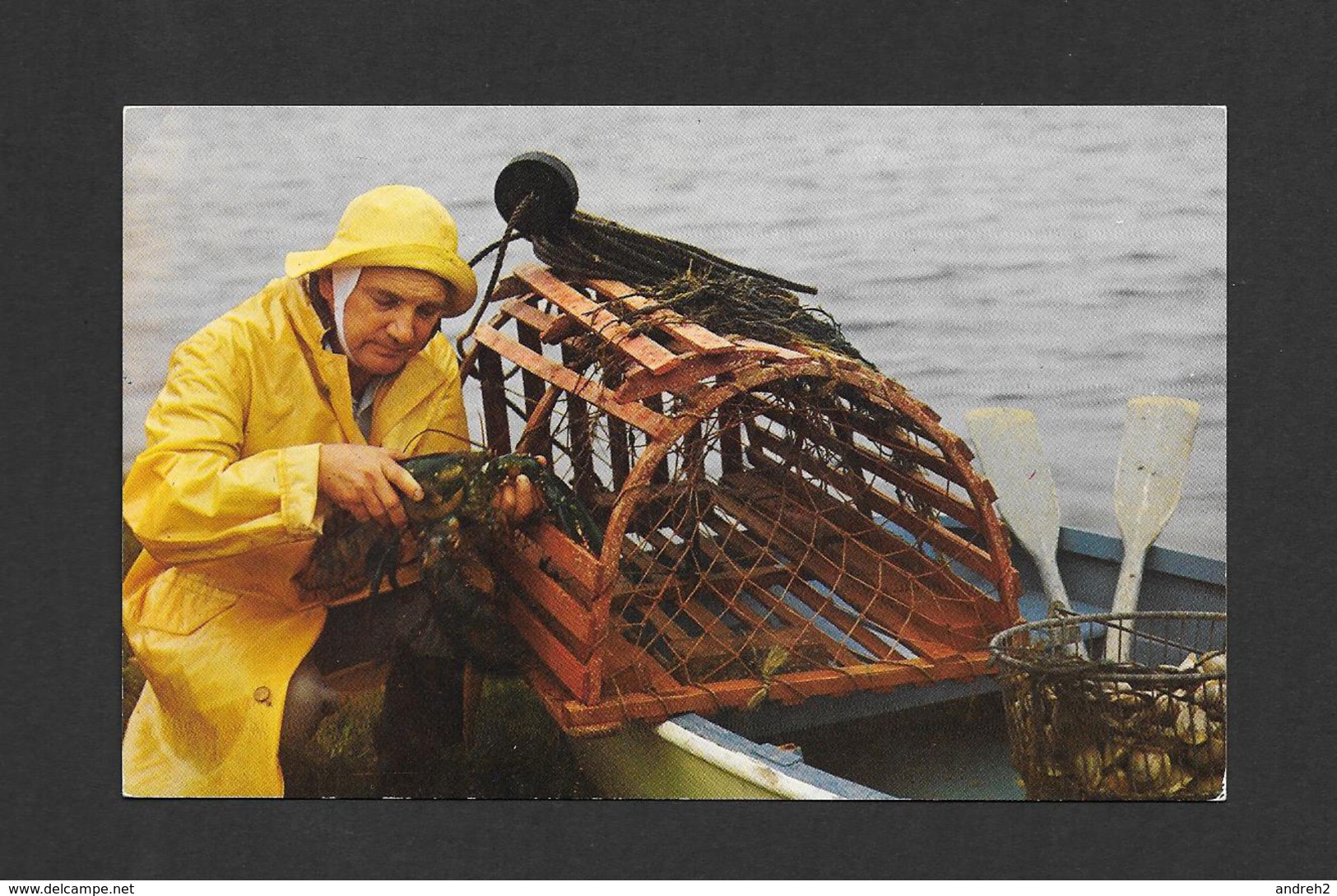 NOUVEAU BRUNSWICK - NEW BRUNSWICK - UN PÊCHEUR TYPIQUE DE HOMARDS À SON TRAVAIL - LOBSTER FISHERMAN - Autres & Non Classés