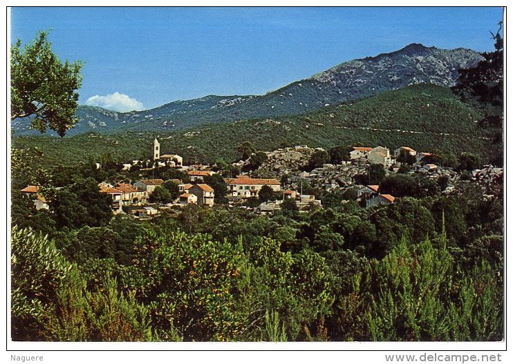 20  TIROLO  VUE GENERALE  FAMILLE SERINI   -  CPM - Autres & Non Classés