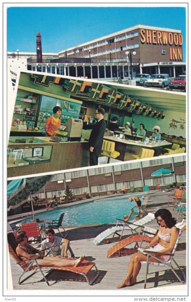 Tacoma Washington, Sherwood Inn Motel, Coffee Shop Diner Counter Interior View, Auto, C1950s Vintage Postcard - Tacoma