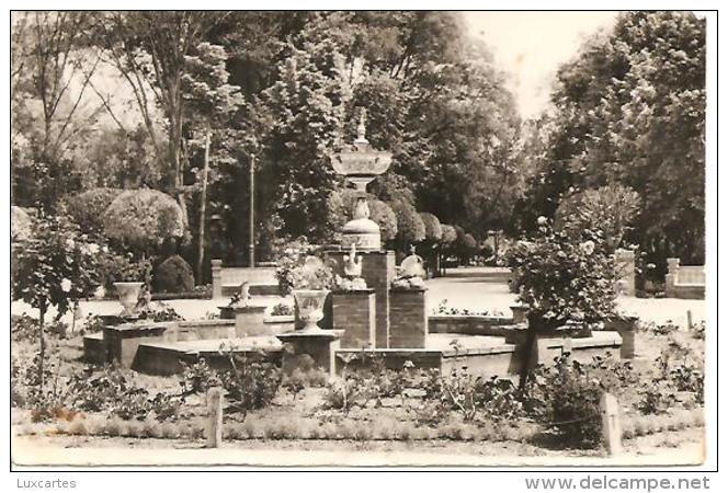 24. CIUDAD REAL. PARQUE GASSET.... - Ciudad Real