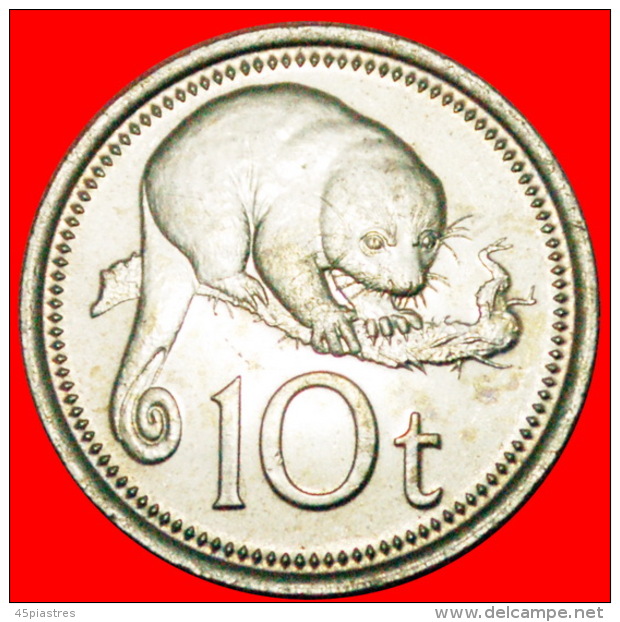 § POSSUM: PAPUA NEW GUINEA &#9733; 10 TOEA 1976 GREAT BRITAIN MINT LUSTER! LOW START&#9733; NO RESERVE! - Papua-Neuguinea