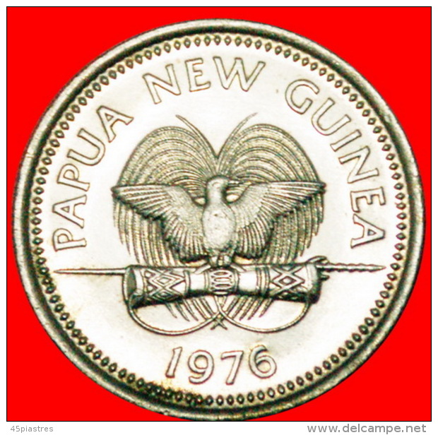 § POSSUM: PAPUA NEW GUINEA &#9733; 10 TOEA 1976 GREAT BRITAIN MINT LUSTER! LOW START&#9733; NO RESERVE! - Papoea-Nieuw-Guinea