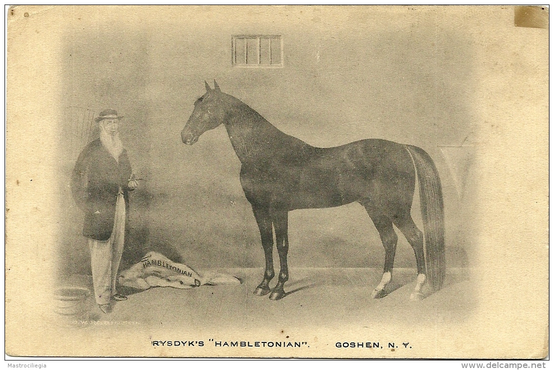 HAMBLETONIAN 10  Stallion Stallone  William Rysdyk  Goshen New York - Cavalli