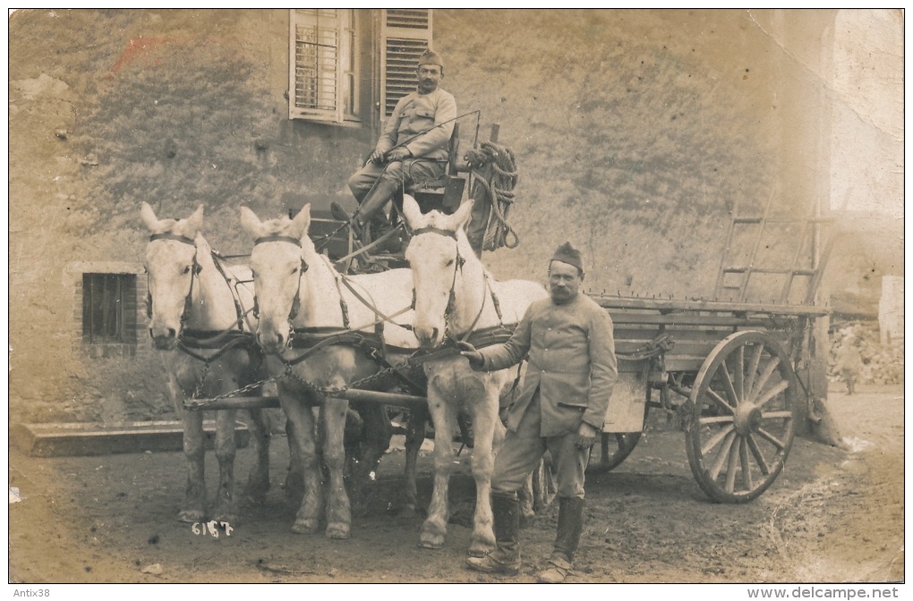 MILITARIA - Un Attelage à Trois Chevaux Attelés  Et Deux Poilus - Uniformes