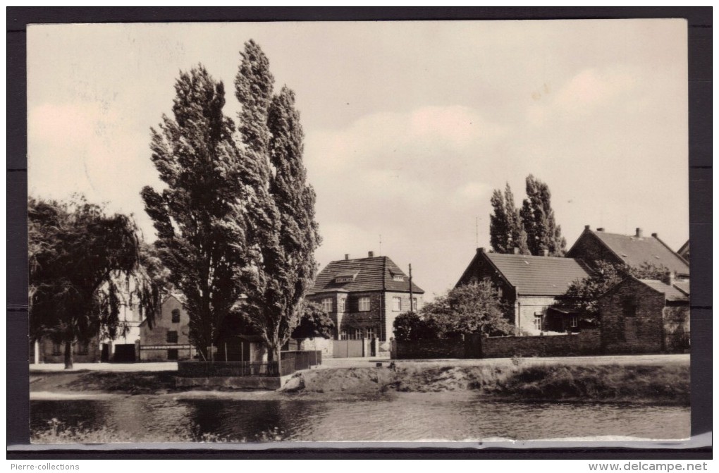 Wansleben Am See - Allemagne - Vue Sur Le Bourg - Wanzleben