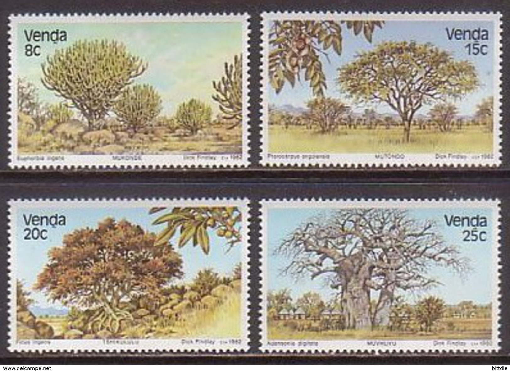 Südafrika, Venda  62/65 , Xx  (P 1556) - Venda