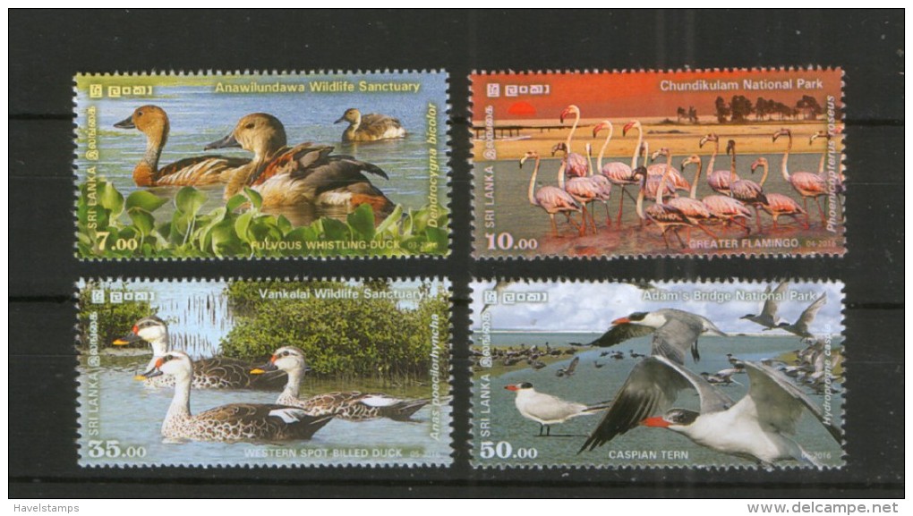 Sri Lanka ** Vögel , Feuchtgebiete / Birds 2016 - Konvolute & Serien