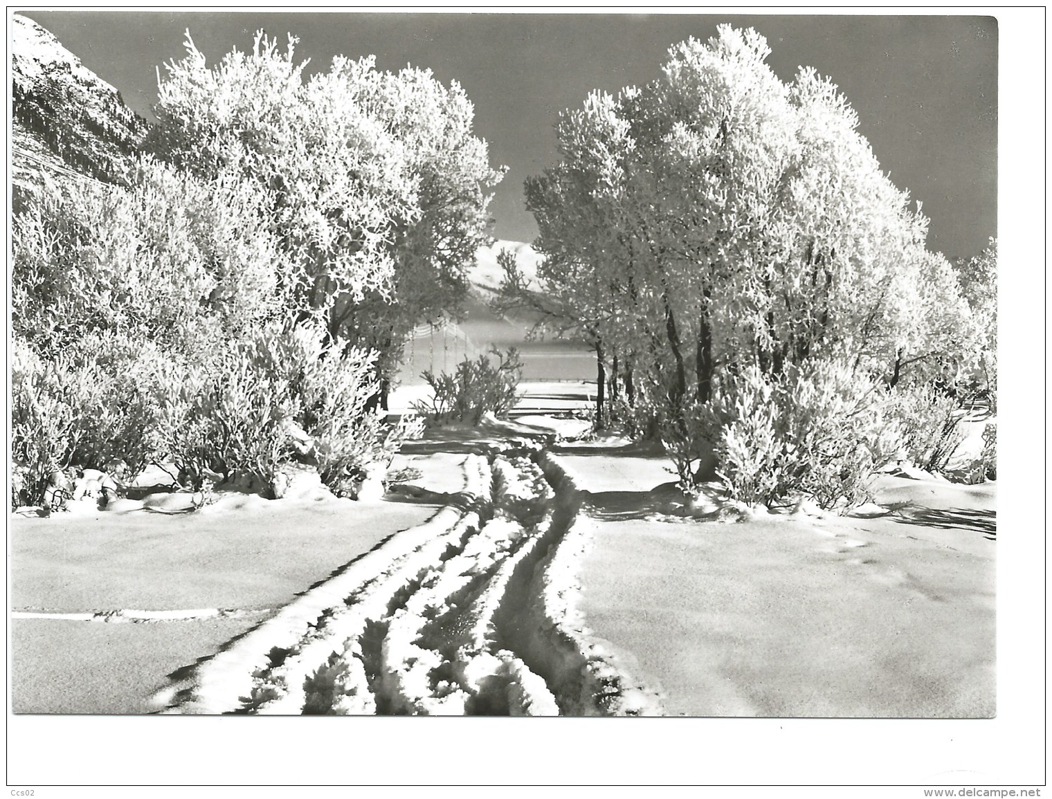 Albert Steiner Paysage D'hiver - Photographie