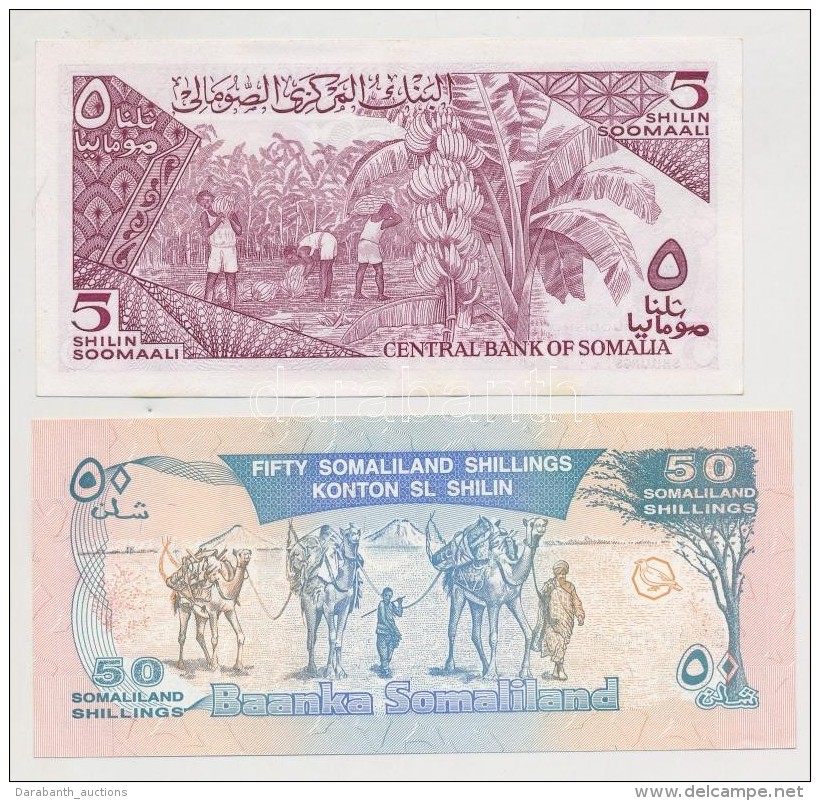 Szomália 1983. 5Sh + Szomáliföld 1999. 50Sh T:I
Somalia 1983. 5 Shillings + Somaliland 1999. 50... - Non Classificati