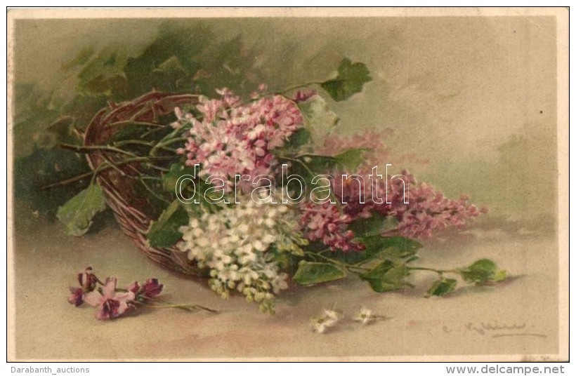 T2/T3 Flowers, T. S. N. No. 976. Litho, S: C. Klein (EK) - Unclassified