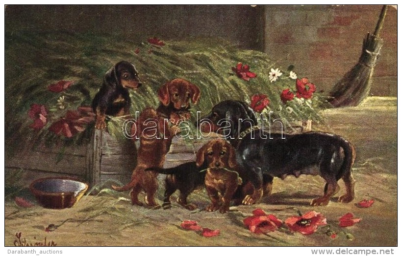 * T2/T3 Dachshund Dog, Art Postcard, Erika No. 3952 S: Schröpler (EK) - Unclassified